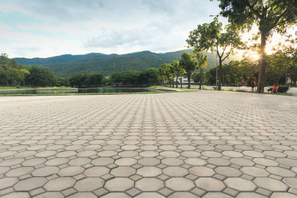 Reasons to Select Us for Your Driveway Paving Requirements in Pelion, SC